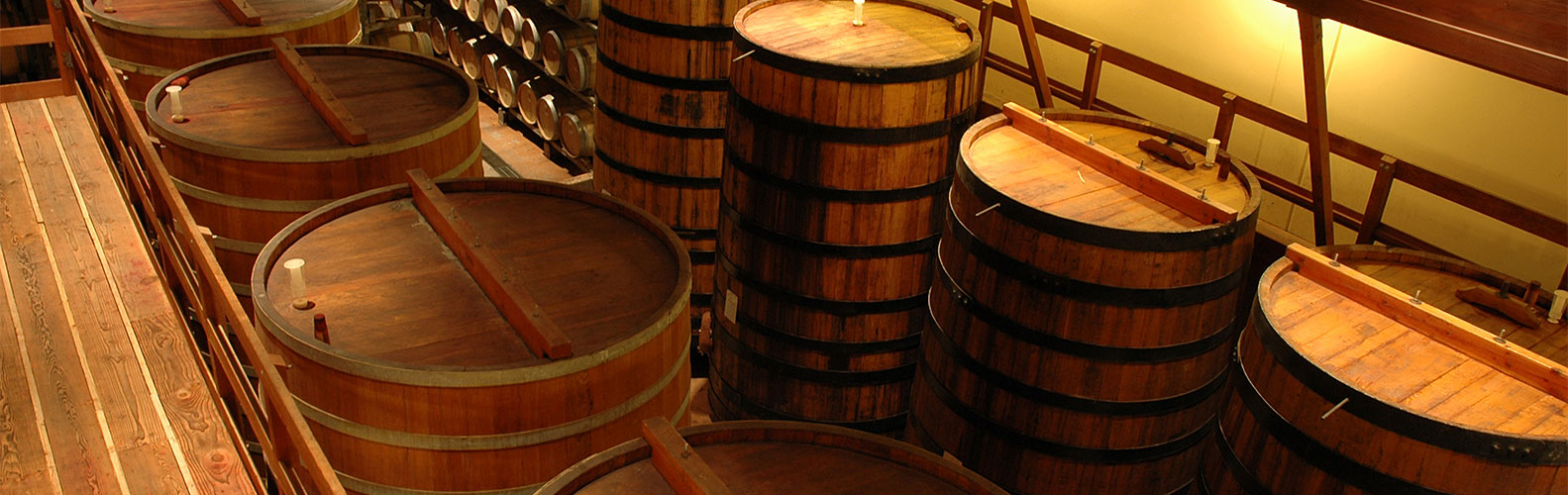 DISCOVER EXCITING ATTRACTIONS, NEAR Comfort Inn Rohnert Park Sonoma County