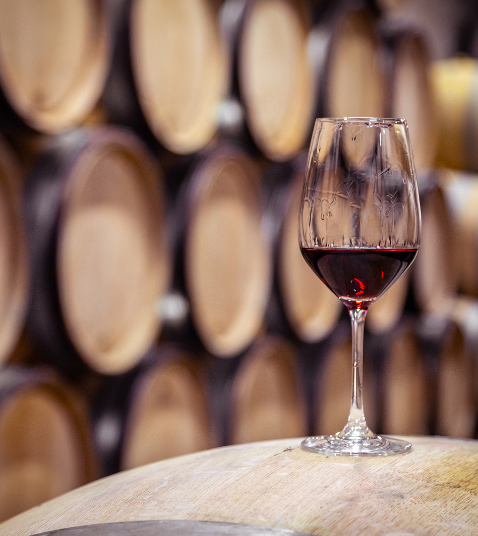 Discover Sonoma County Wine Country