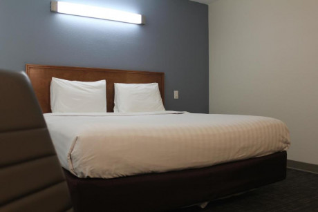 Comfort Inn Rohnert Park Sonoma County - One Queen Bed
