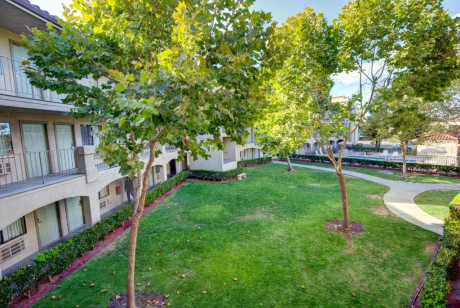 Comfort Inn Rohnert Park Sonoma County - Courtyard